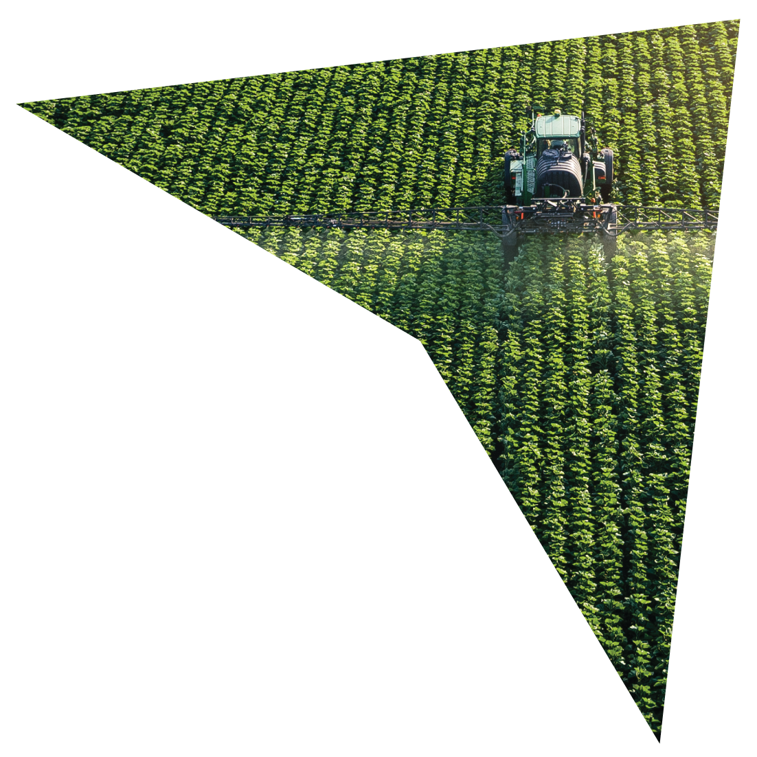 NEC_arrow_farmer_02