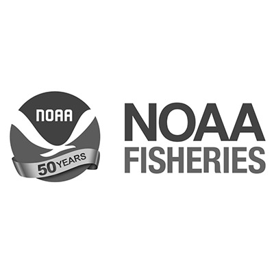 noaa-50th-logo-2