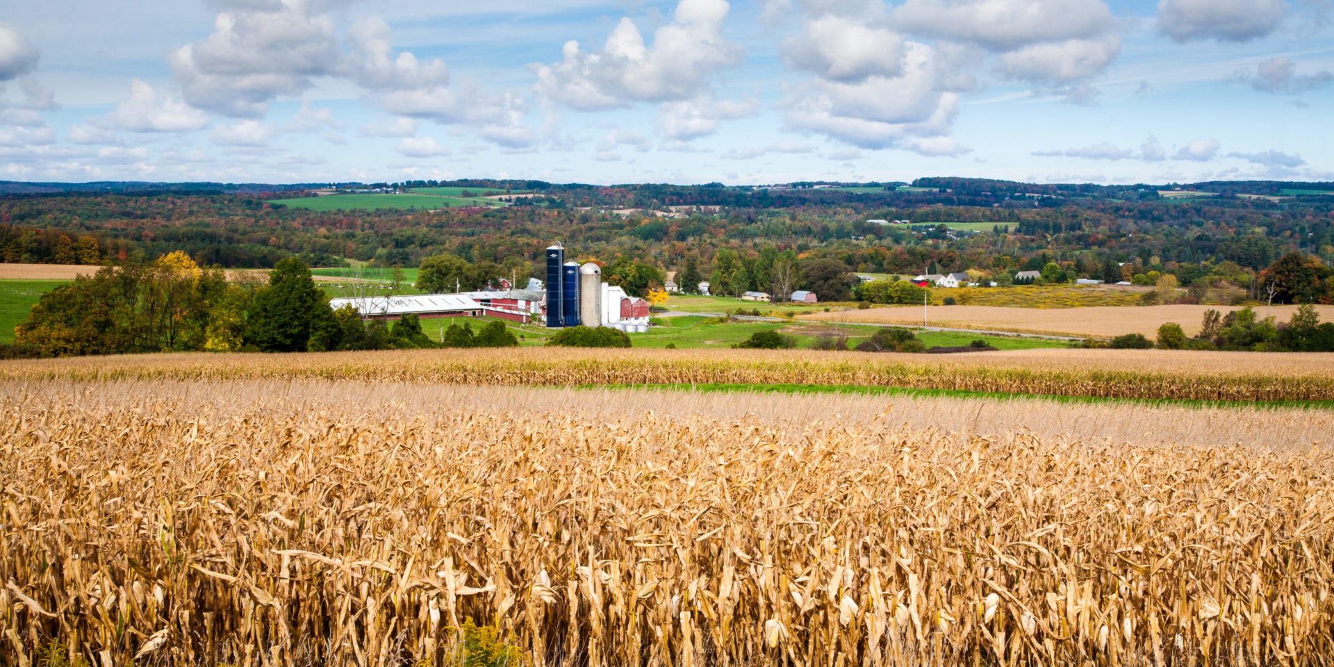image used as background for 2022 Agricultural Fatality Report