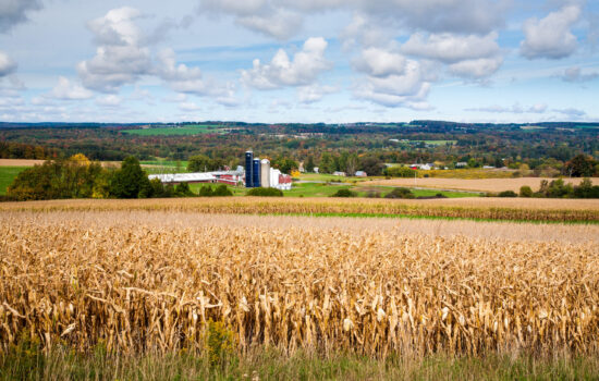 image used as background for 2022 Agricultural Fatality Report