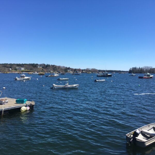 choppy water in a new england harbor