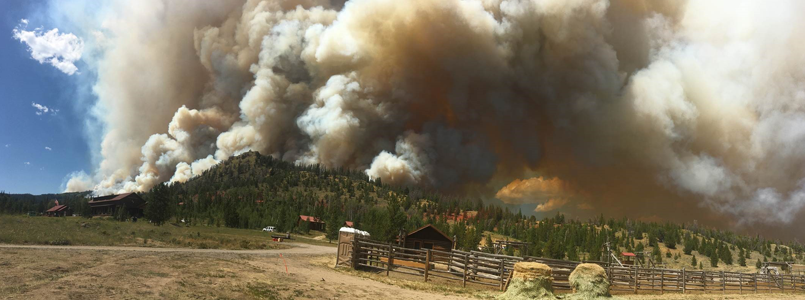 Wild Fire Smoke raises above the horizon