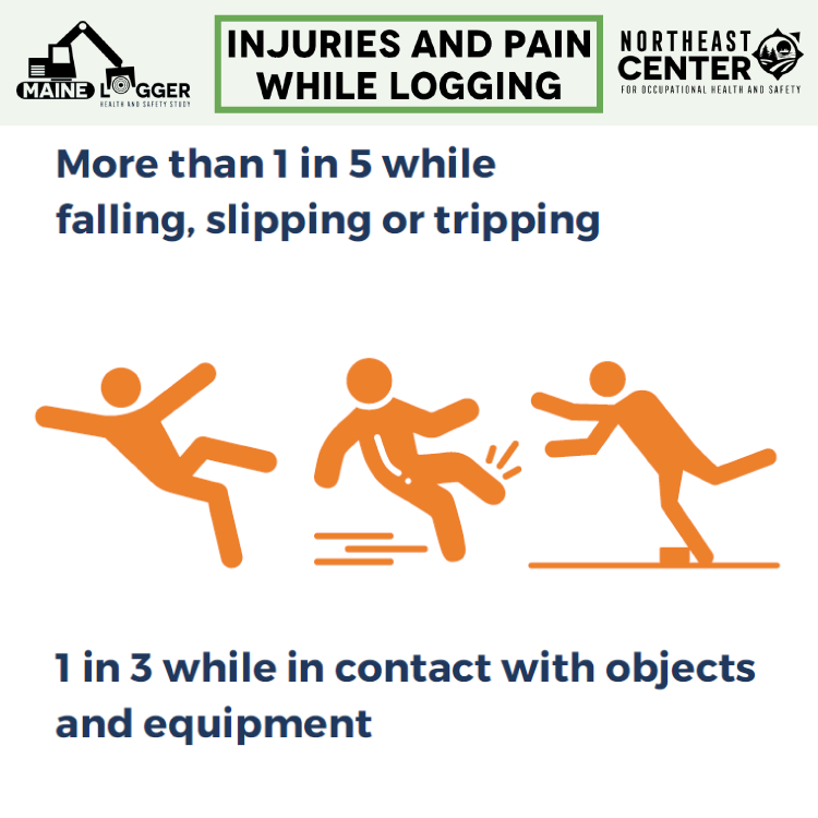 Infographic stating that 20% of injuries occur while falling, and 33% occur while in contact with objects and equipment