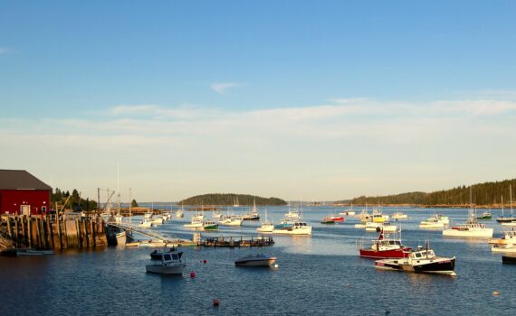 a view of Stonington Harbor