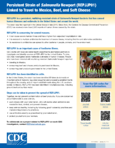 Salmonella update from CDC - January 2024 (English)