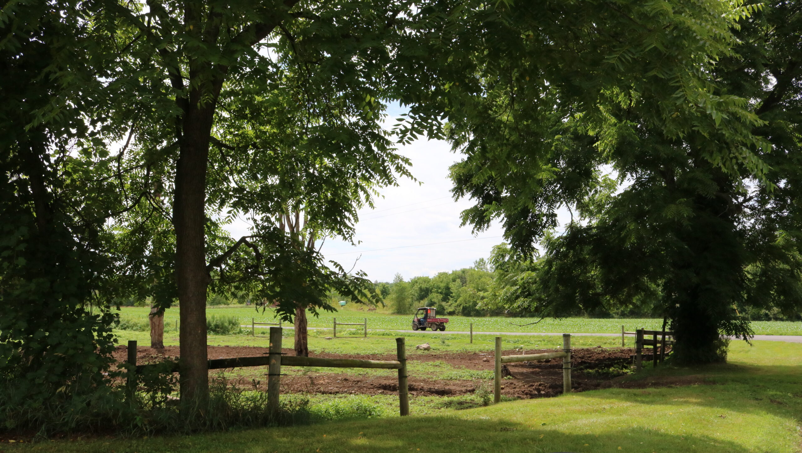 Rural Mental Health & Wellbeing