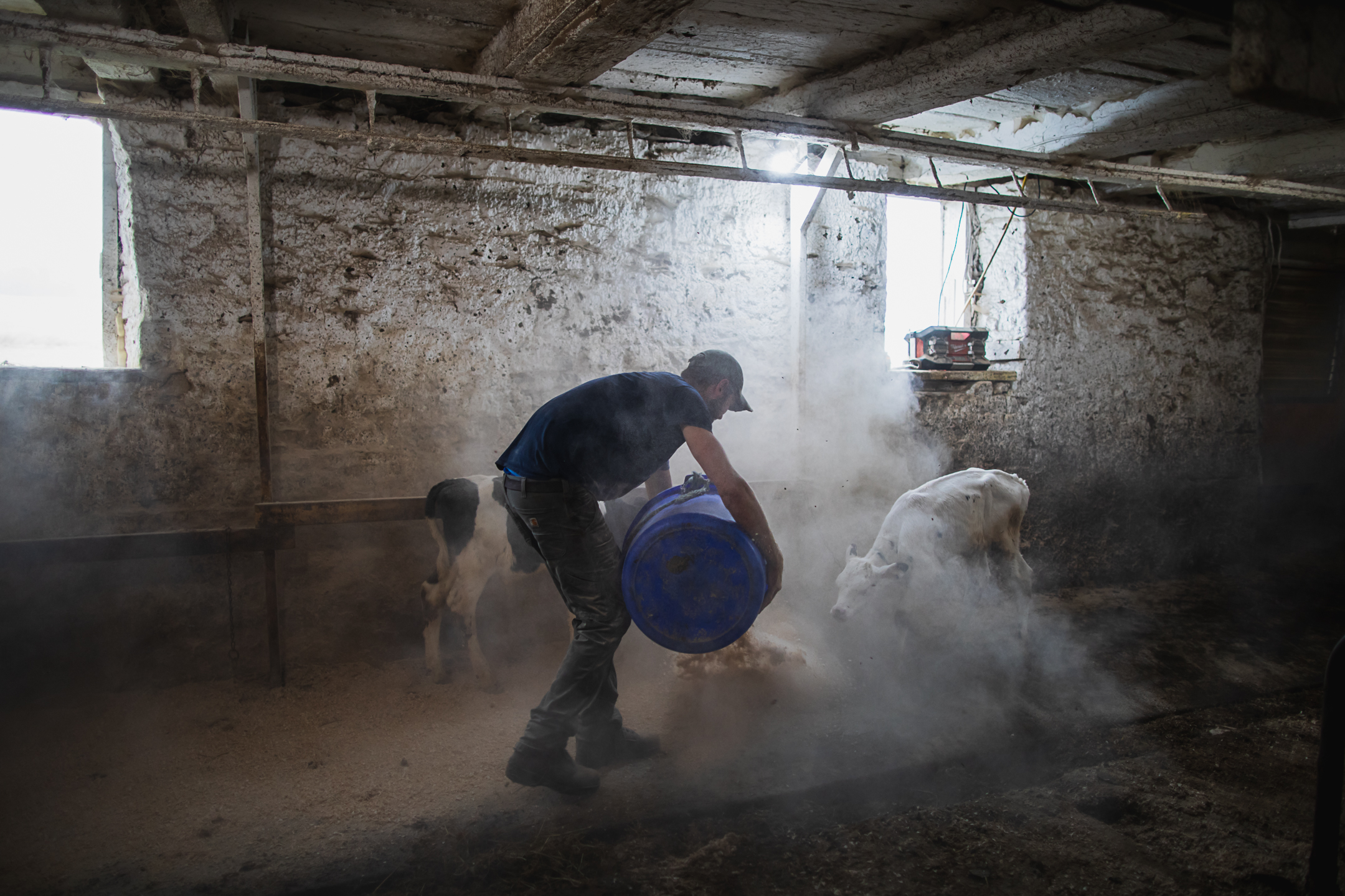 Farmworker Safety and Health